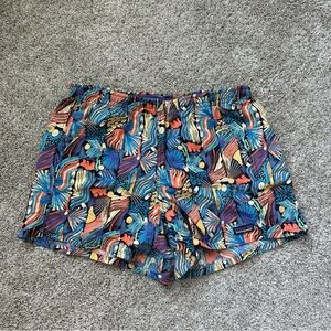 Patagonia Baggies Shorts
